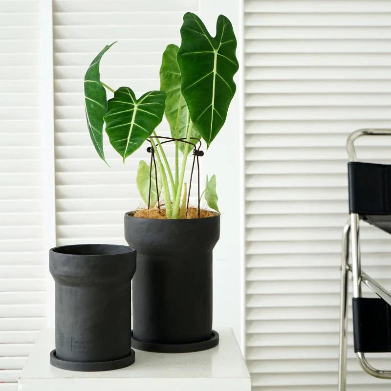 Planters Singapore – Modern Indoor & Outdoor Pots