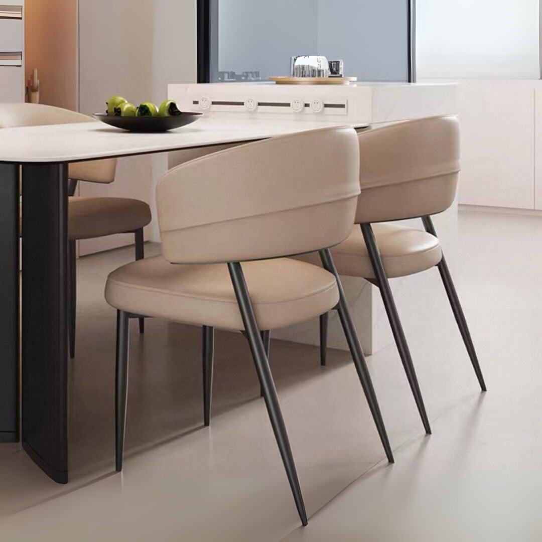 TEDIAN Modern Dining Chair