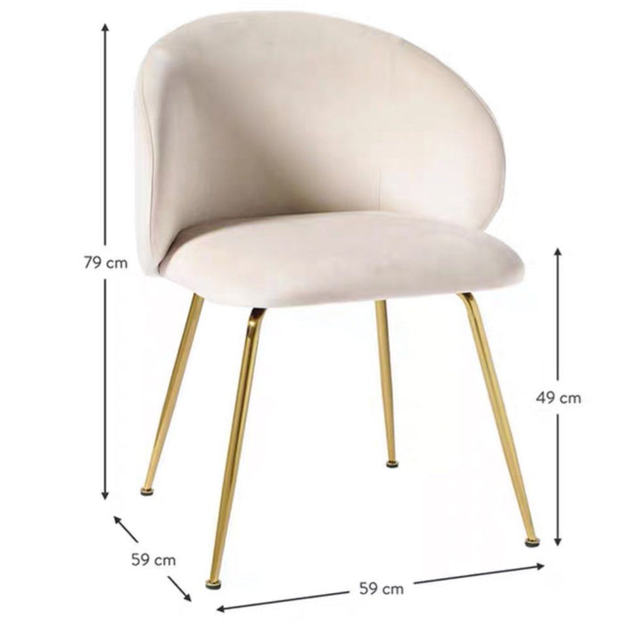 ARMON Modern Dining Chair