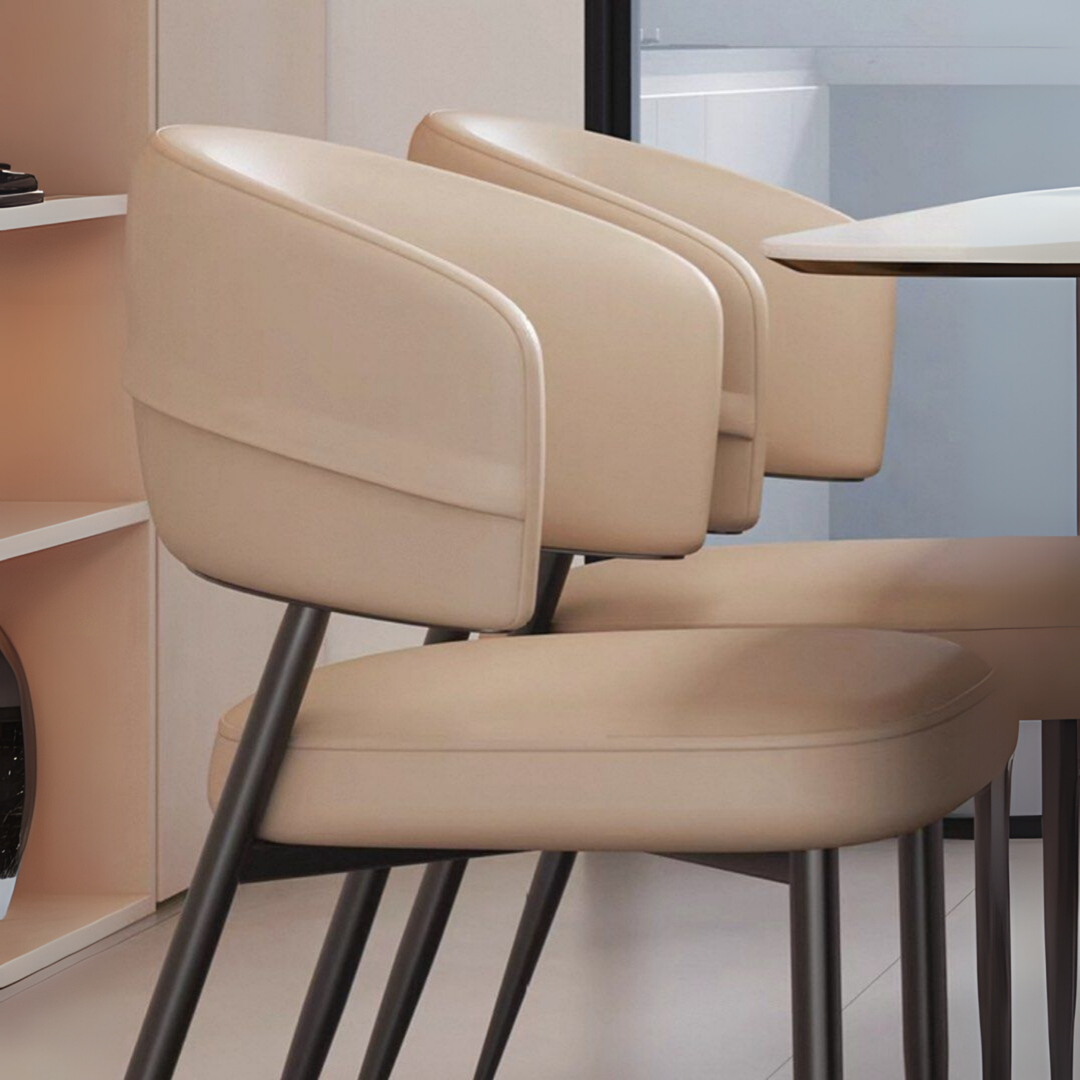 TEDIAN Modern Dining Chair