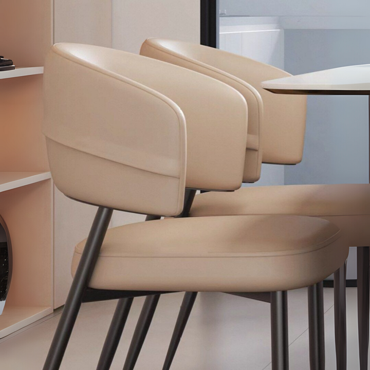 TEDIAN Modern Dining Chair