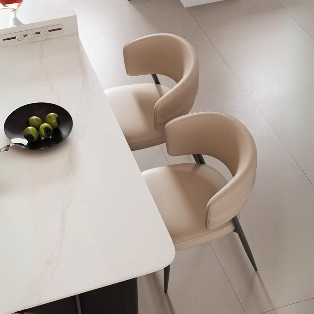 TEDIAN Modern Dining Chair
