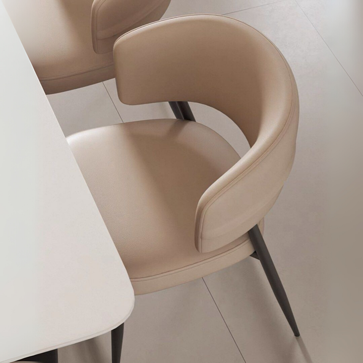TEDIAN Modern Dining Chair