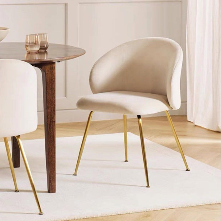 ARMON Modern Dining Chair