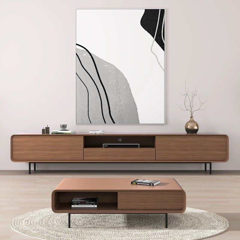 BRAUN Modern TV Console & Coffee Table
