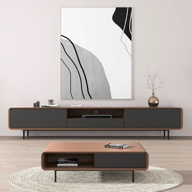 BRAUN Modern TV Console & Coffee Table