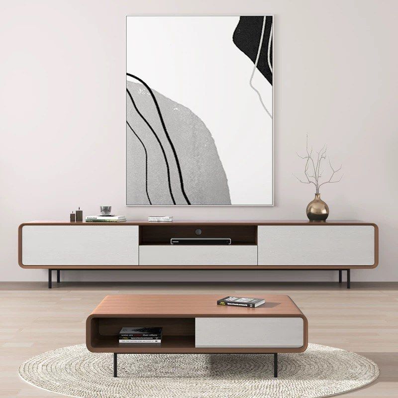 BRAUN Modern TV Console & Coffee Table