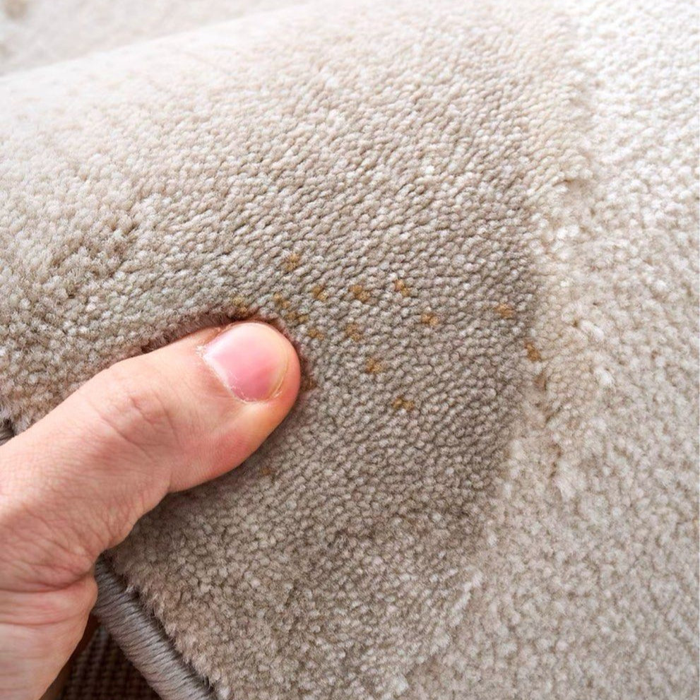 RAEO Modern Soft Rug