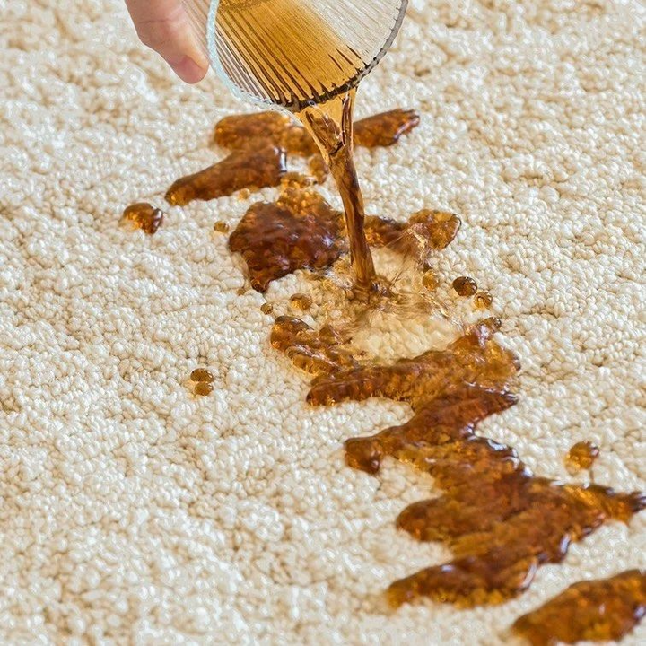IGOICHI Modern Water Resistant Rug