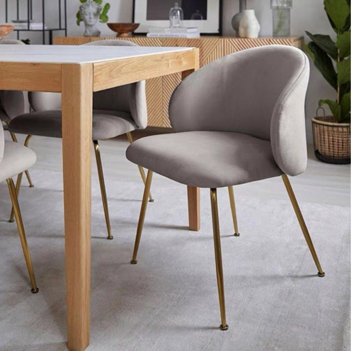 ARMON Modern Dining Chair