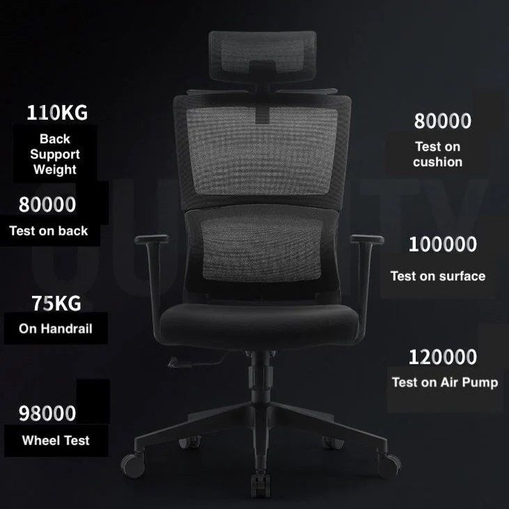 ACEZ Ergonomic Office Chair