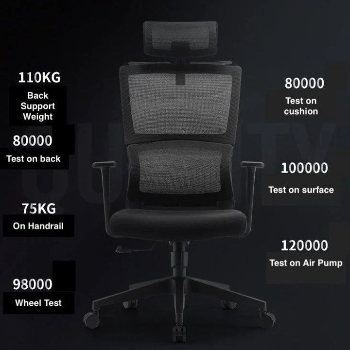ACEZ Ergonomic Office Chair