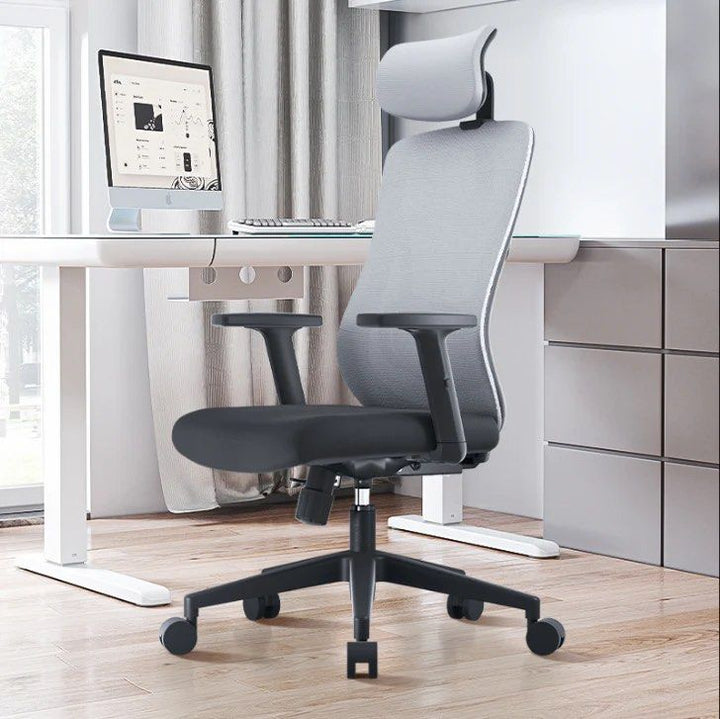 ACEZ Ergonomic Office Chair