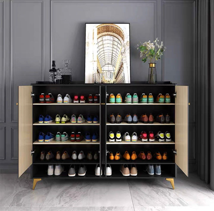 ALEX Modern Shoe Cabinet