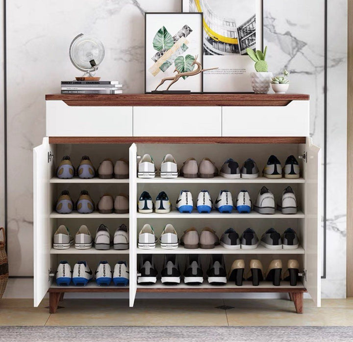 ARTEMAS Modern Shoe Cabinet