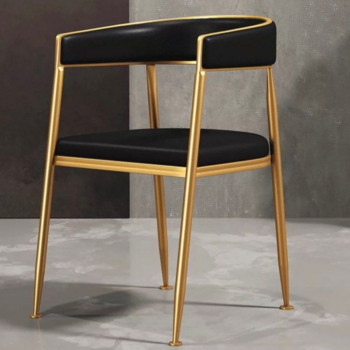 BANE Modern Dining Chair