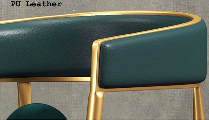 BANE Modern Dining Chair