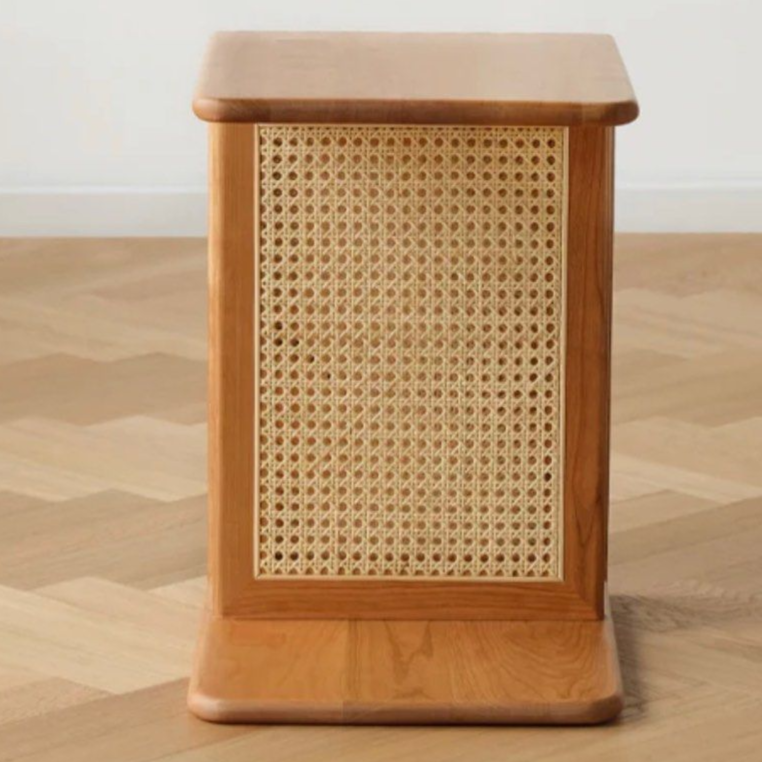 SEAN C End Table With Storage