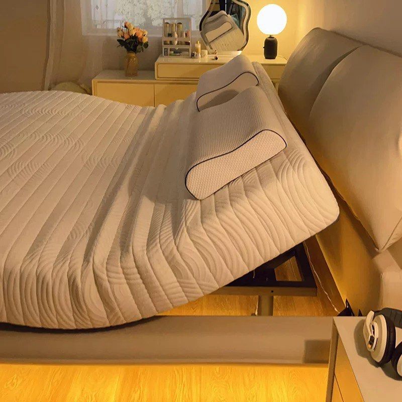 CARIOLN Modern Electric Bedframe