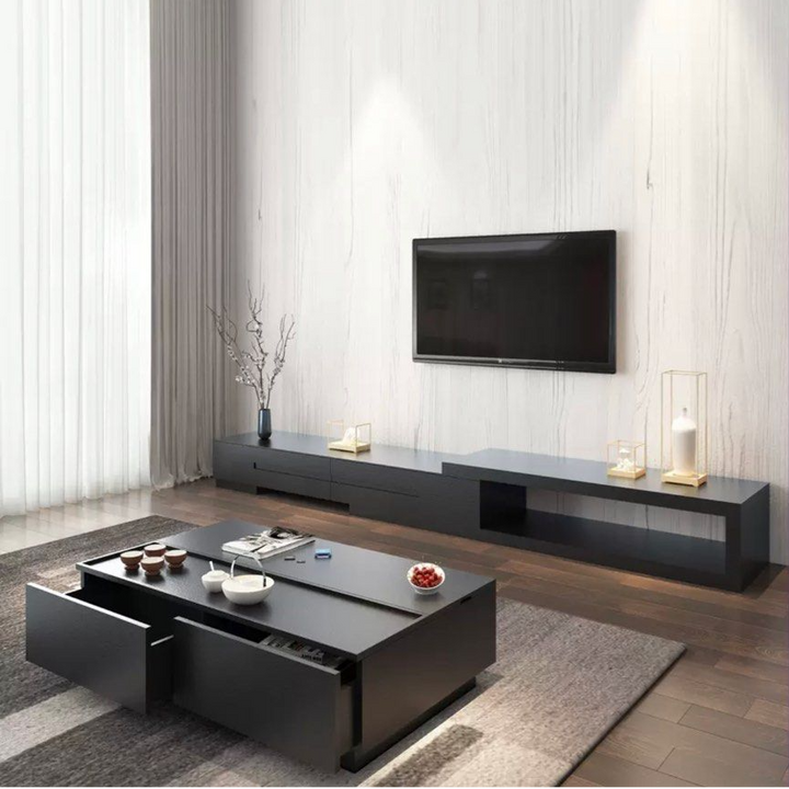 PARIN Modern Wood TV Console
