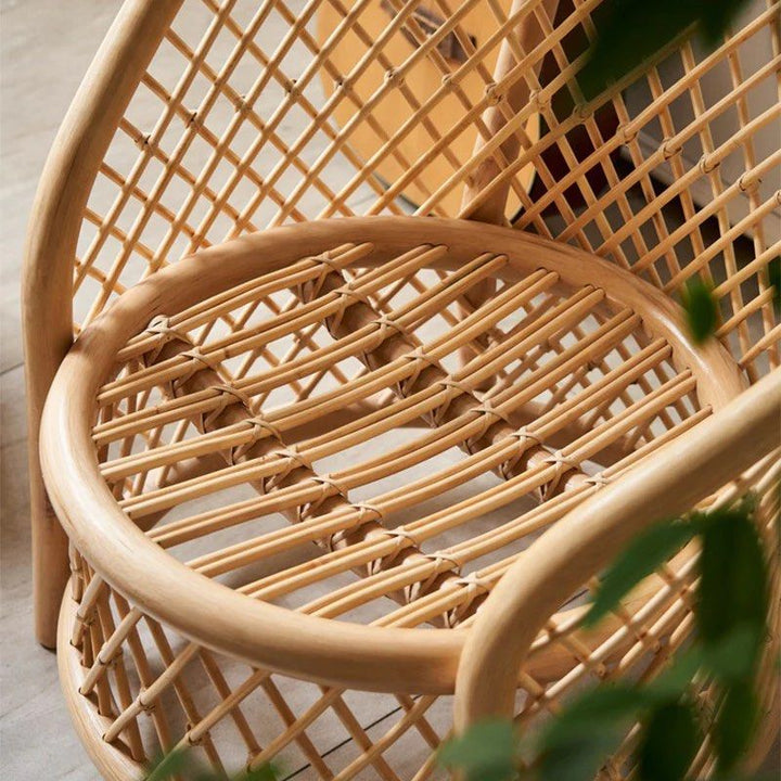 DIVZ Rattan Balloon Chair