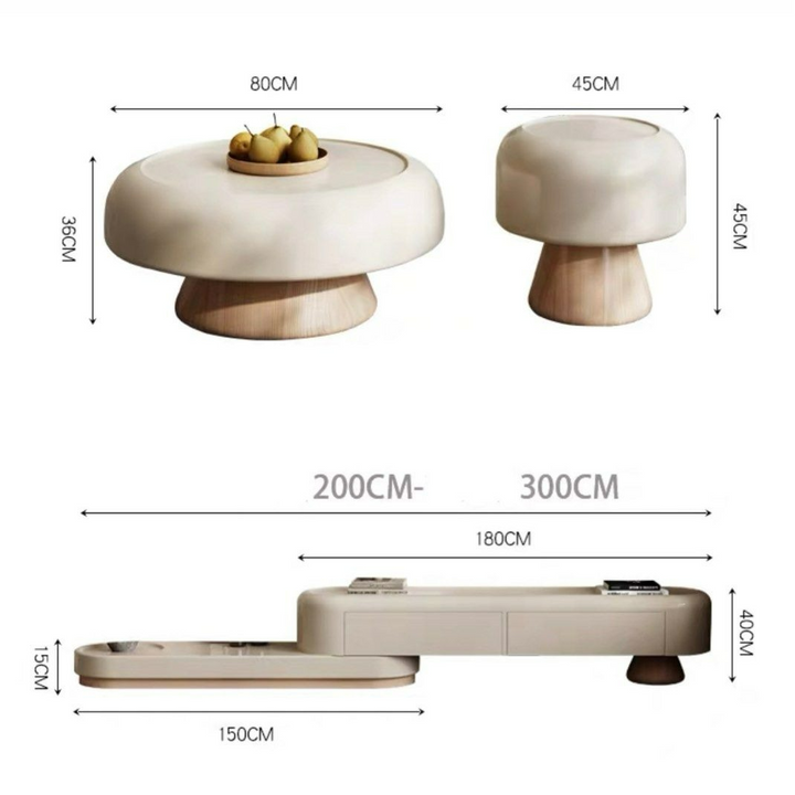 TEMMIN Japandi TV Console & Coffee Table