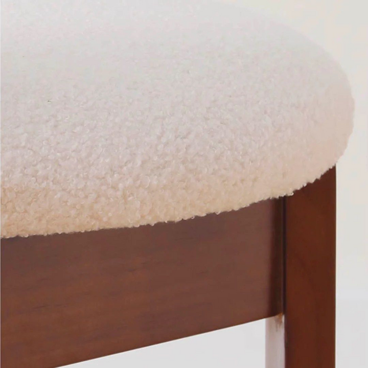 ANISSA Modern Dining Chair