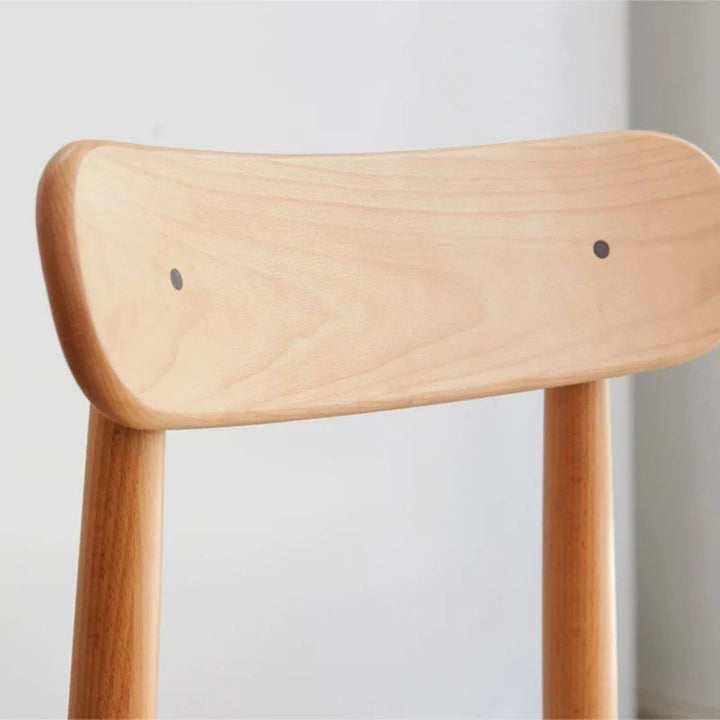 HETT Modern Dining Chair (set of 2)
