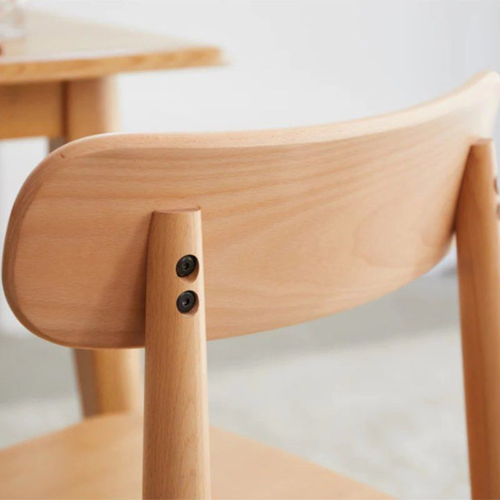 HETT Modern Dining Chair (set of 2)