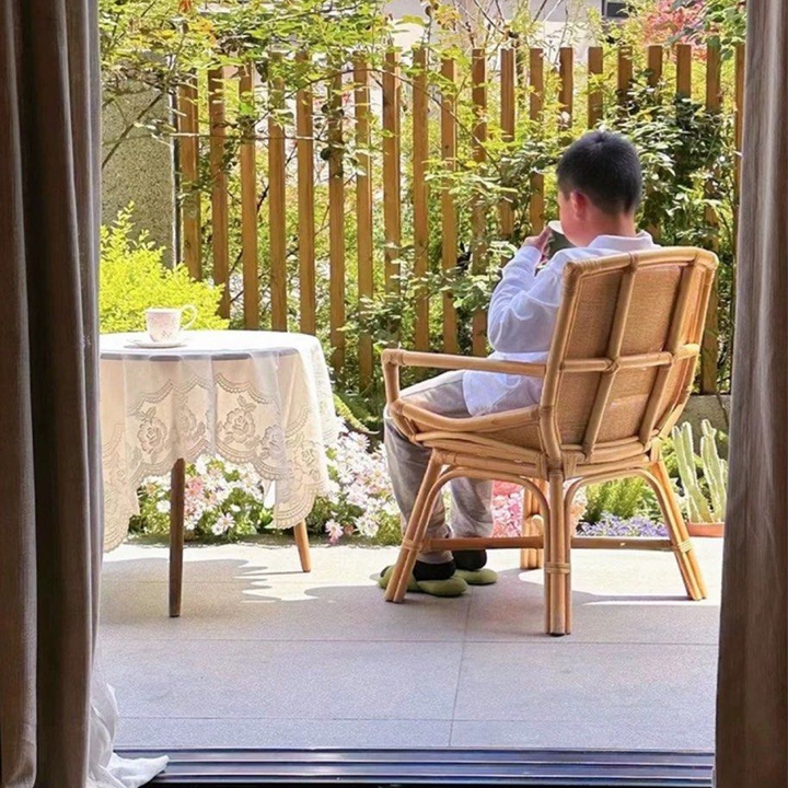 NEISTA Indoor/Outdoor Rattan Chair