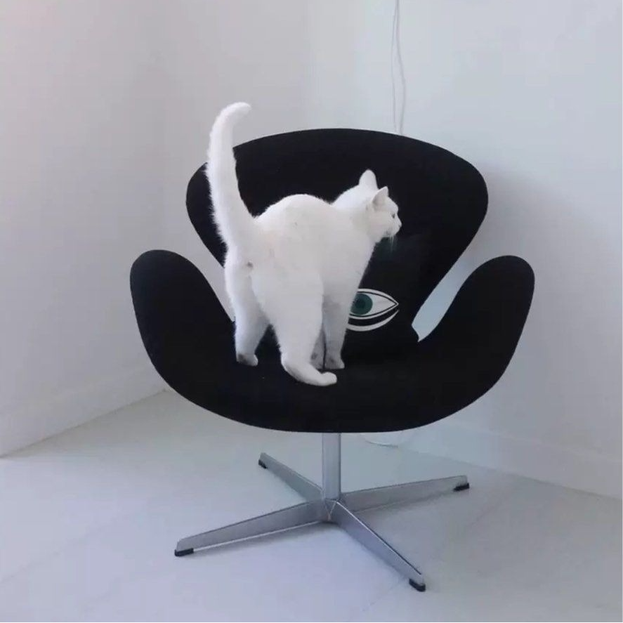 HOLLY Modern Swivel Lounge Chair