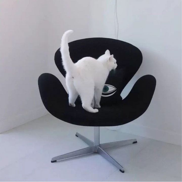 HOLLY Modern Swivel Lounge Chair