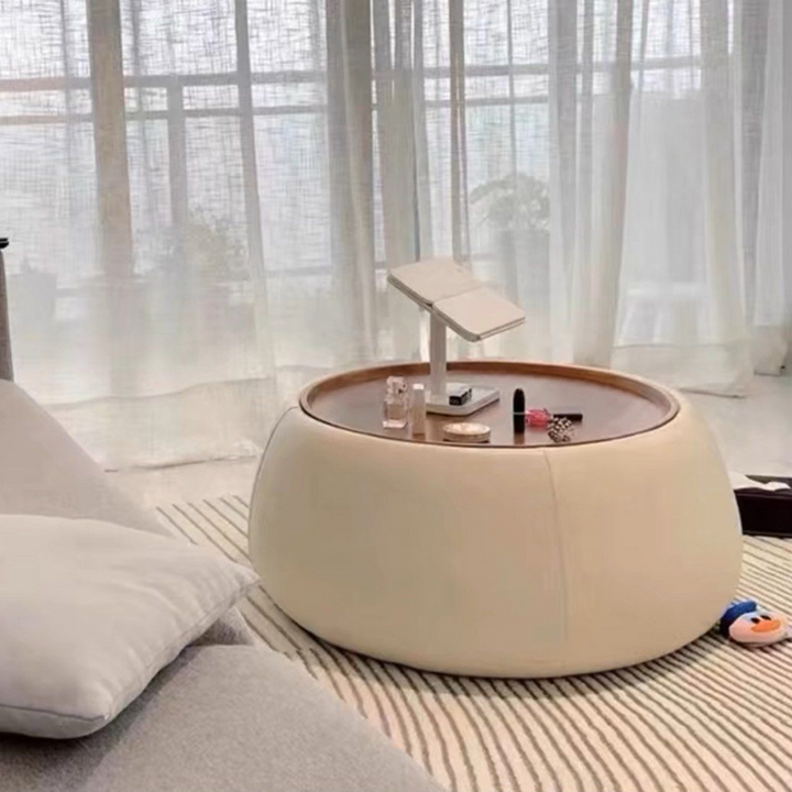GINA Modern Storage Coffee Table