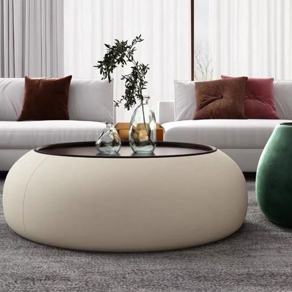GINA Modern Storage Coffee Table