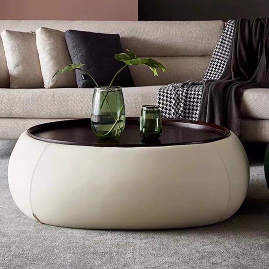 GINA Modern Storage Coffee Table
