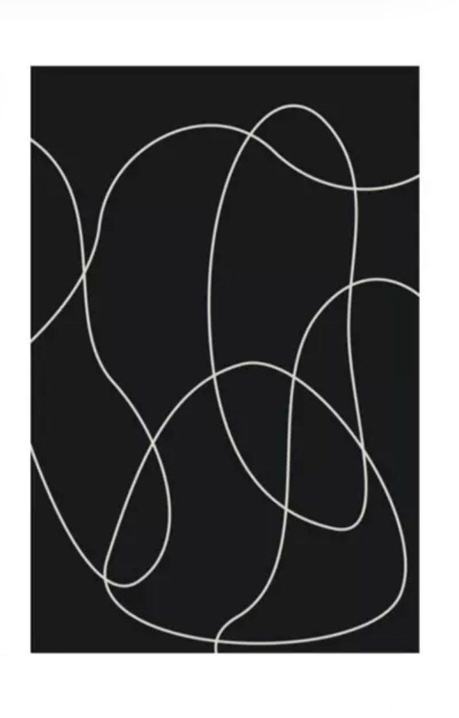 LARO Abstract Line Rug