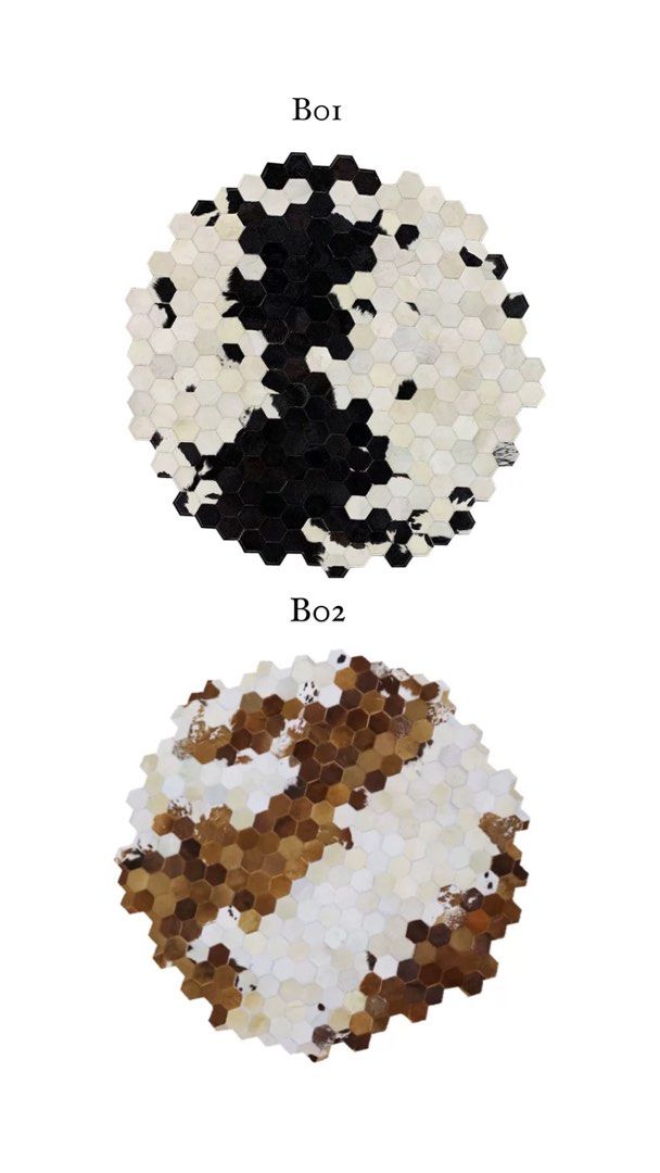 LOTHO Modern Cowhide Leather Rug