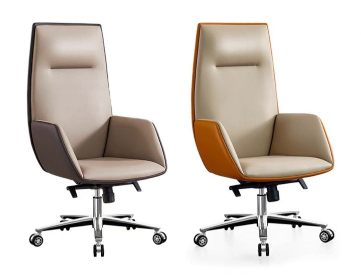 EMILE Modern Ergonomic Office Chair