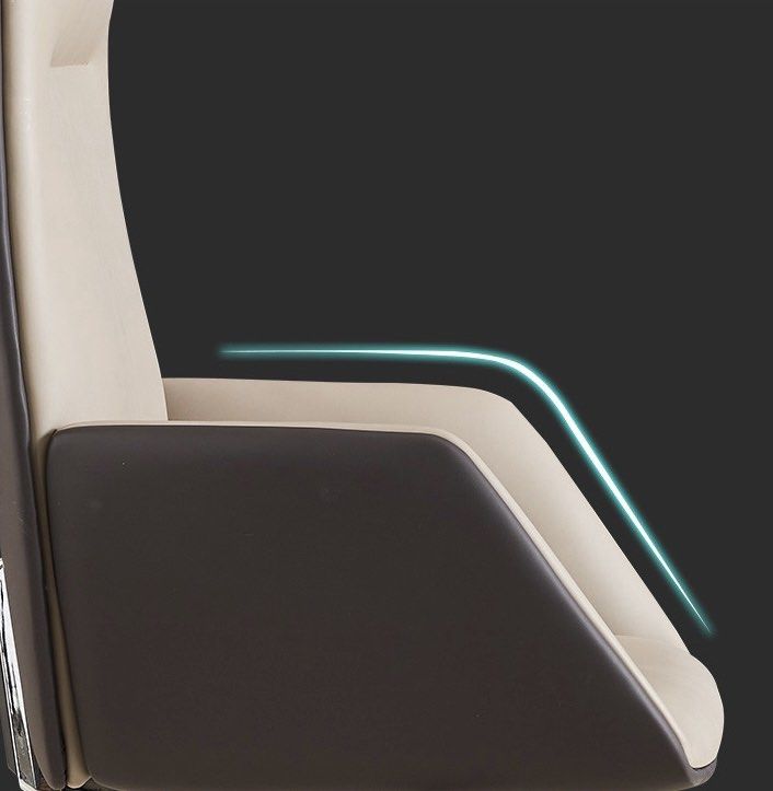 EMILE Modern Ergonomic Office Chair