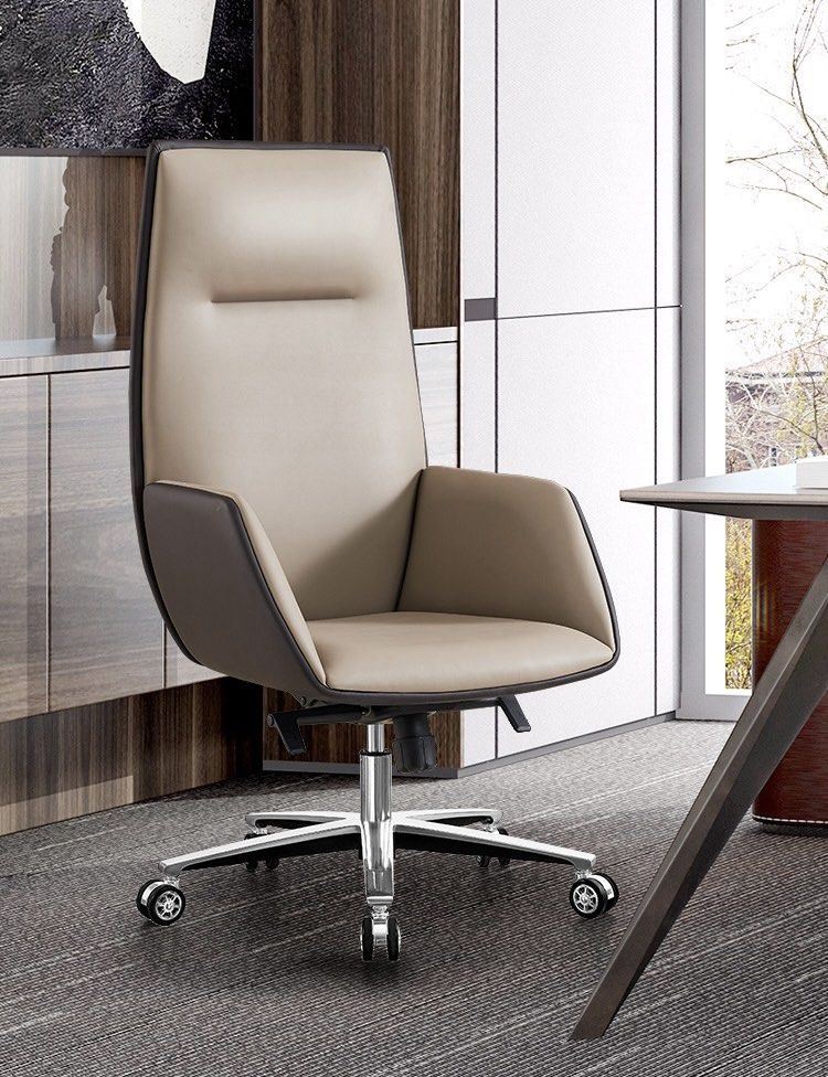 EMILE Modern Ergonomic Office Chair
