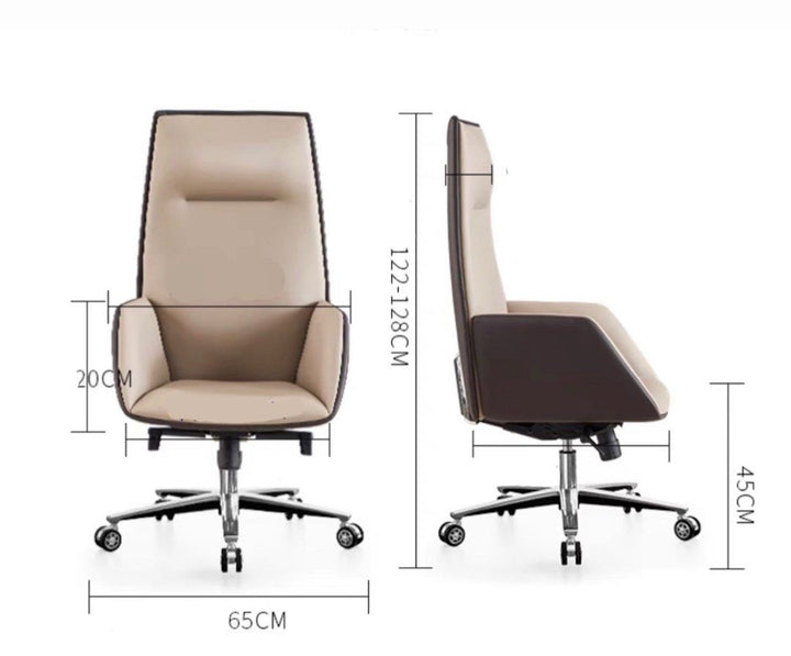 EMILE Modern Ergonomic Office Chair