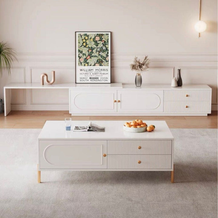 ZIRAN Modern TV Console