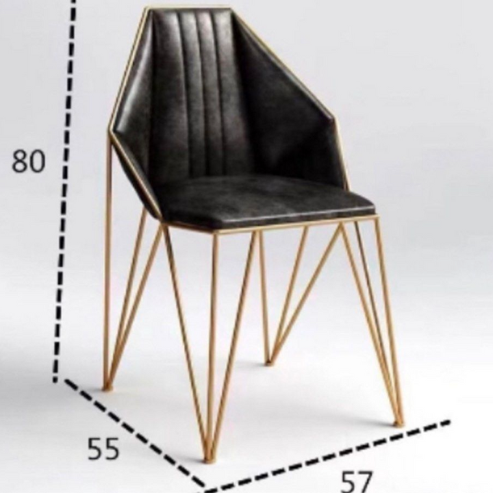 MUNOZ Modern Dining Chairs