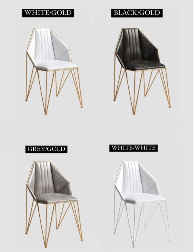 MUNOZ Modern Dining Chairs
