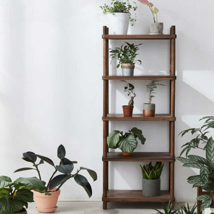 VENEZIA Solid Wood Bookcase
