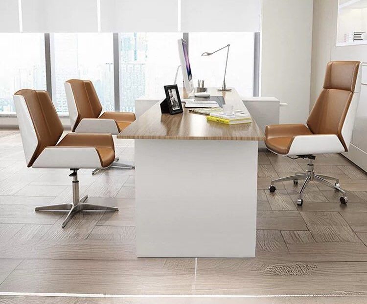 THEODORE Modern Leather Office Chair