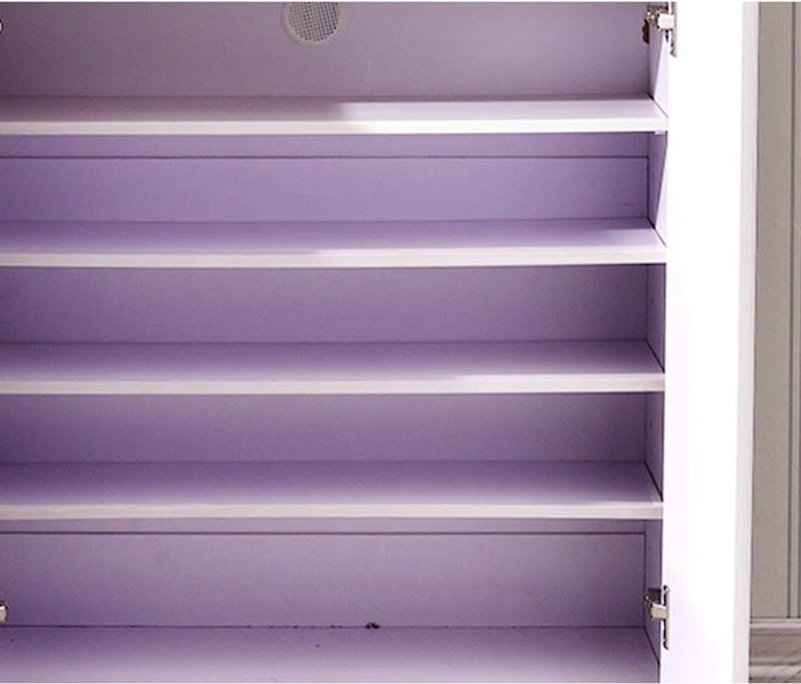 RAISFE Modern Shoe Cabinet