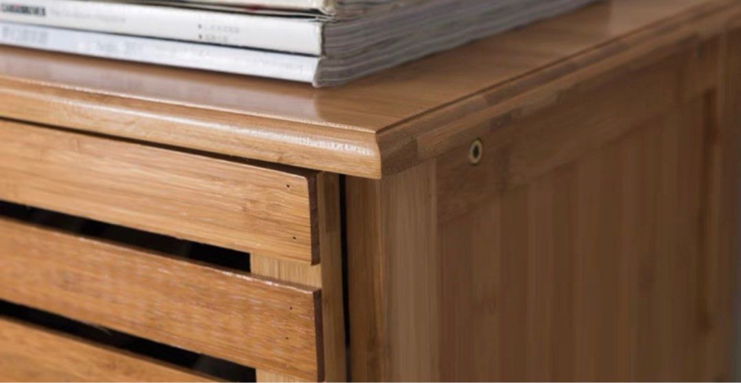 RANEZO Scandinavian Shoe Cabinet