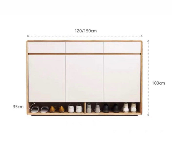 REVA Modern Shoe Cabinet
