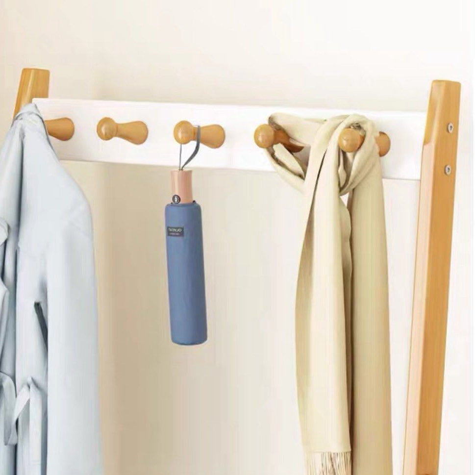 DORIVAL Minimalist Solid Wood Ladder Shelf